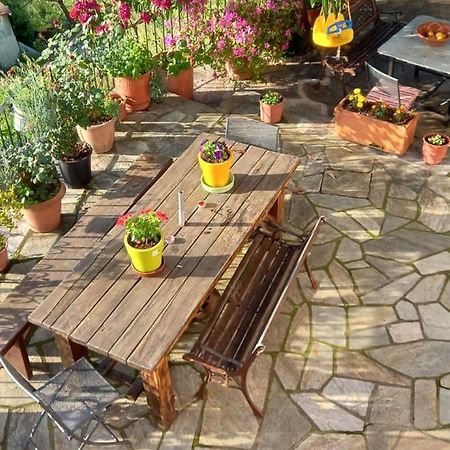 Orizontas Pilio Villa Kissos  Exteriör bild
