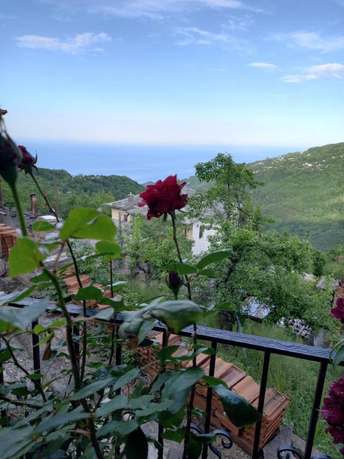 Orizontas Pilio Villa Kissos  Exteriör bild