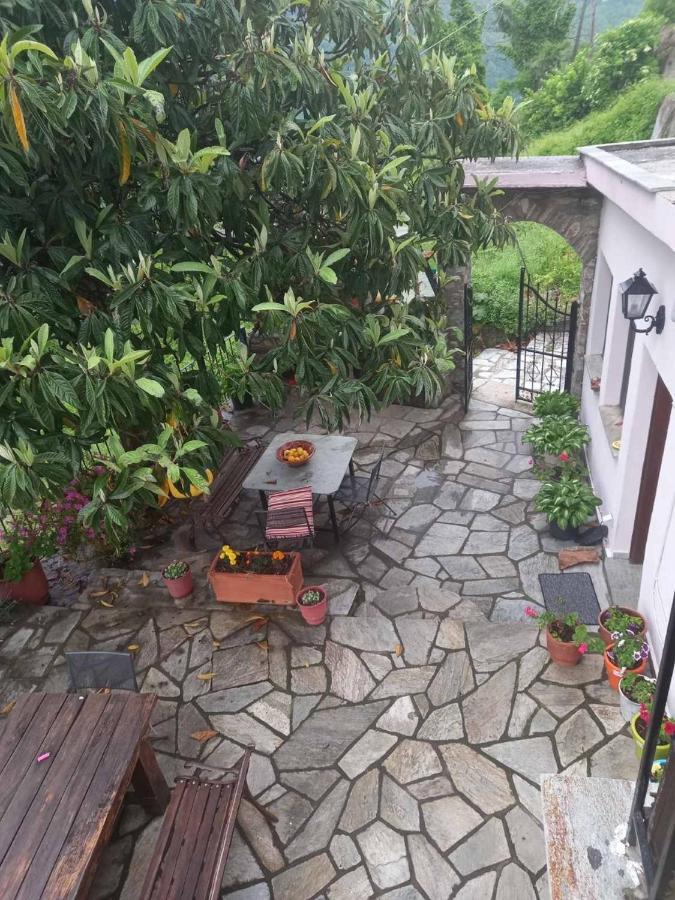 Orizontas Pilio Villa Kissos  Exteriör bild