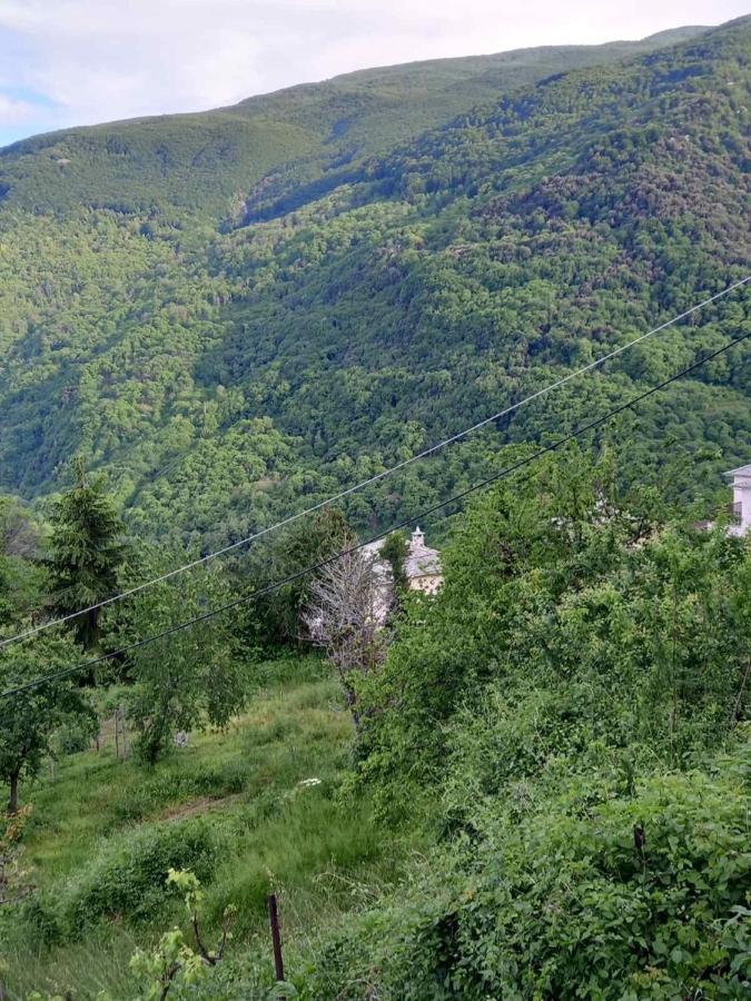 Orizontas Pilio Villa Kissos  Exteriör bild