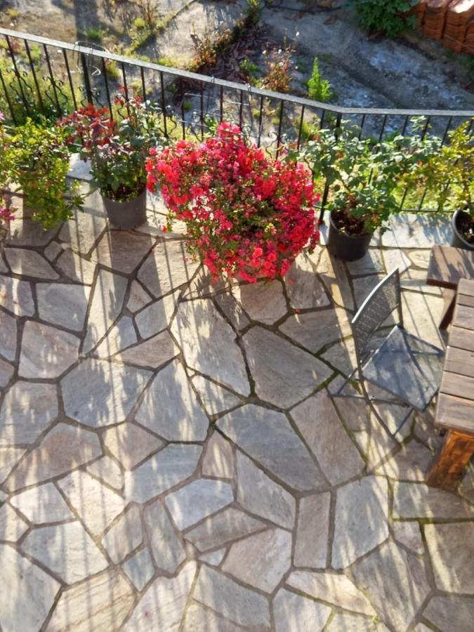 Orizontas Pilio Villa Kissos  Exteriör bild