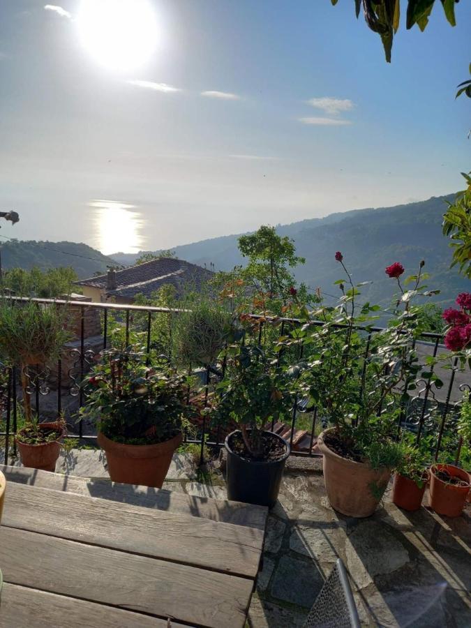 Orizontas Pilio Villa Kissos  Exteriör bild