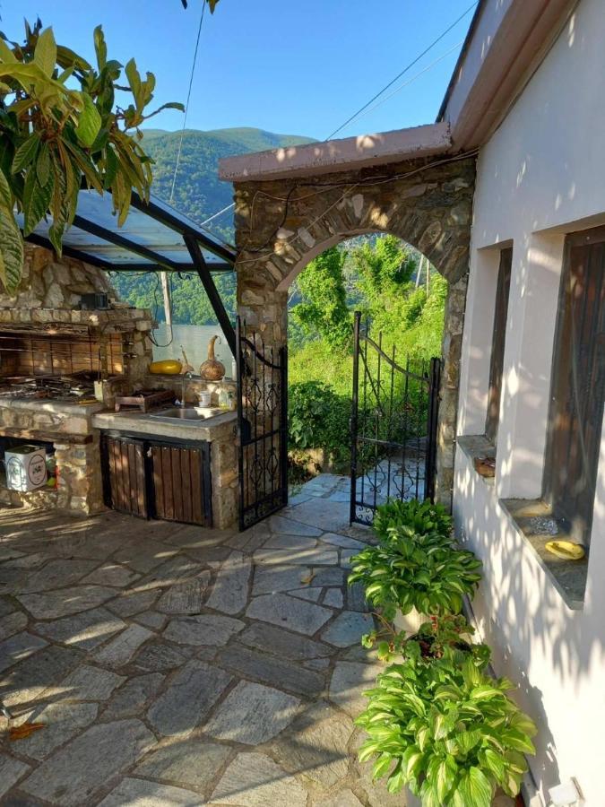 Orizontas Pilio Villa Kissos  Exteriör bild