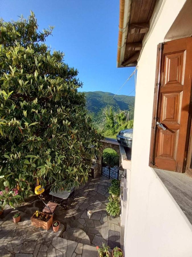 Orizontas Pilio Villa Kissos  Exteriör bild